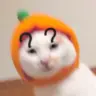 捞捞