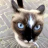 嗨起来